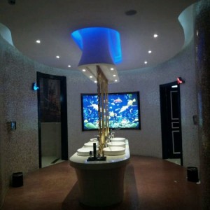 杭州余杭区百丈镇附近夜总会招聘酒水促销员,怎么面试