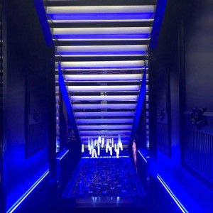 辽宁专科生杭州求职，IT／电商行业新机遇