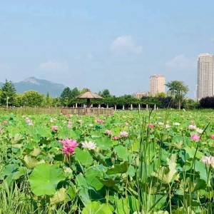 杭州萧山区城厢街道附近ktv招聘包厢陪唱,(好上班的不挑人)