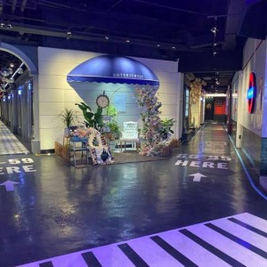 探索杭州600场子豪华KTV：娱乐盛宴与奢华体验