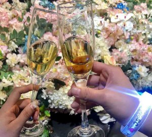 博园保安队长招聘条件（博园安保团队领班招募标准）
