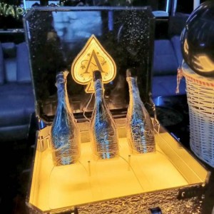 招聘兽医广告文案（诚聘资深兽医加入我们的动物健康守护者团队）