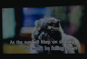 独家揭秘：杭州KTV真实场景高清美图