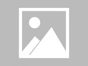 跨城求职：成杭郑行业新机