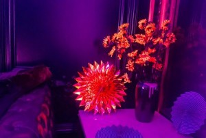 杭州滨江高端会所豪华KTV夜生活体验