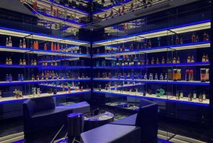 杭州桐乡市求职：热门行业岗位全览